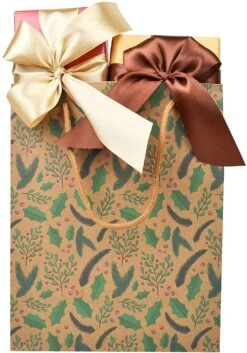 Assorted Christmas Prints Gift Bags, 32 Pcs 17 Assorted Christmas Prints Gift Bags, 32 Pcs -Xmas Supplies Shop 14074 8