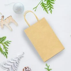 100 Pcs Christmas Kraft Paper Bags -Xmas Supplies Shop 815wPGb7vpL. AC SL1500